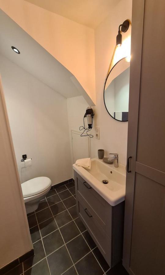 Studio Le Ligerien Saint-Denis-de lʼHôtel Eksteriør billede